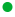 Green Icon