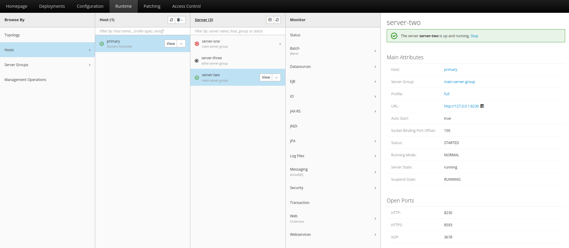 wildfly-3 Select the server and click View.
