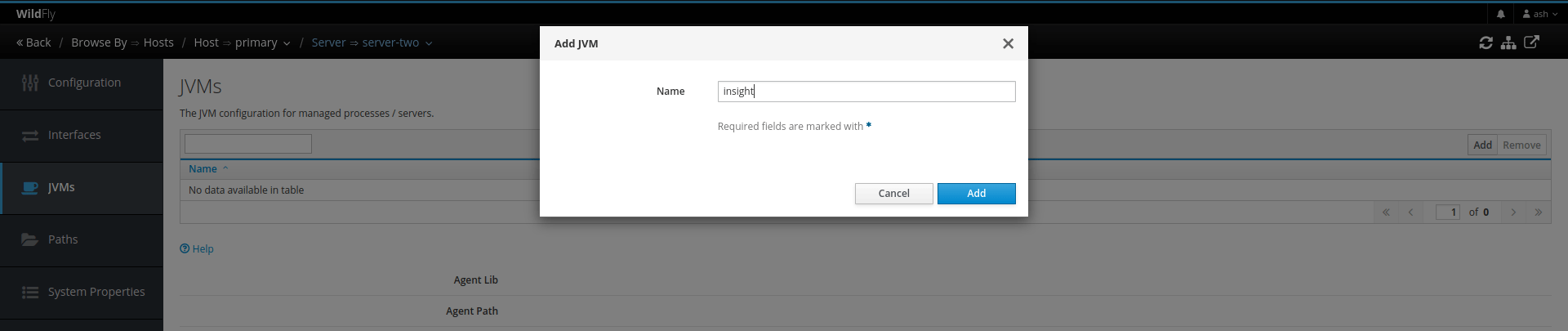 wildfly-5 Desired name for JVM